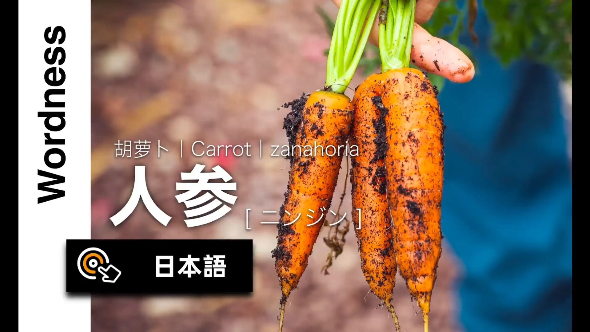 看剧学日语的第64期:人参(胡蘿蔔)