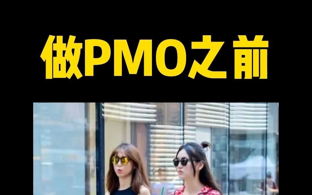 做PMO前后的对比哔哩哔哩bilibili