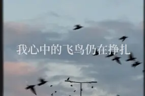 Tải video: 【原创｜拿式摇滚】“笼中鸟 何时飞”