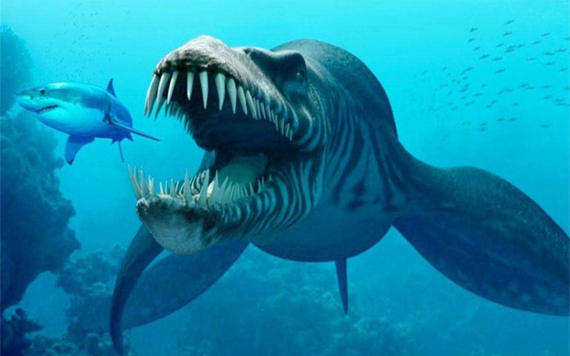 镜头下:5种生活在马里亚纳海沟的,神奇生物!