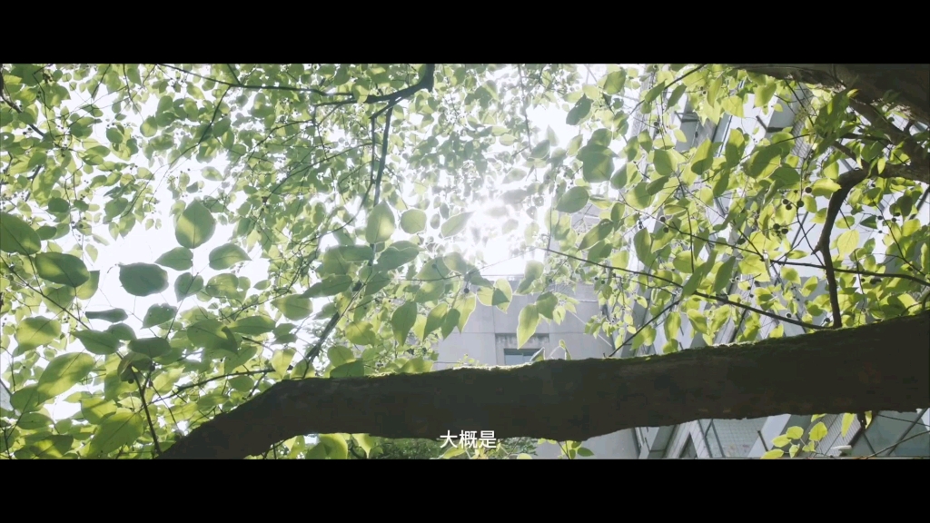 剩下的盛夏mv-马嘉祺·宋亚轩·刘耀文