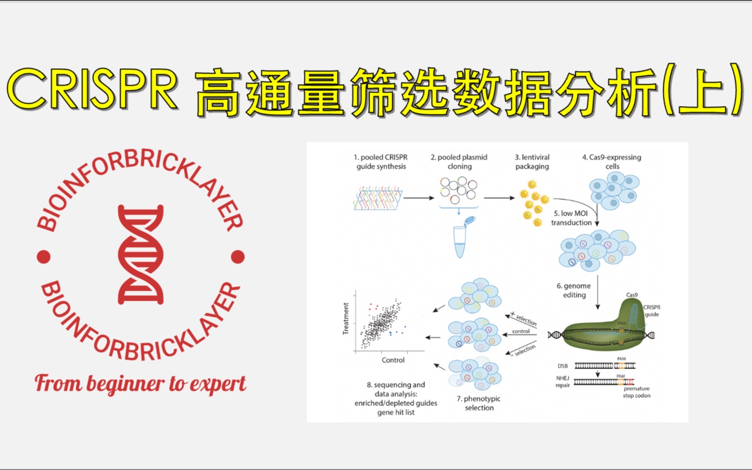 [图]【生信进阶之路｜工具篇 04】如何分析 CRISPR 高通量筛选数据（上）