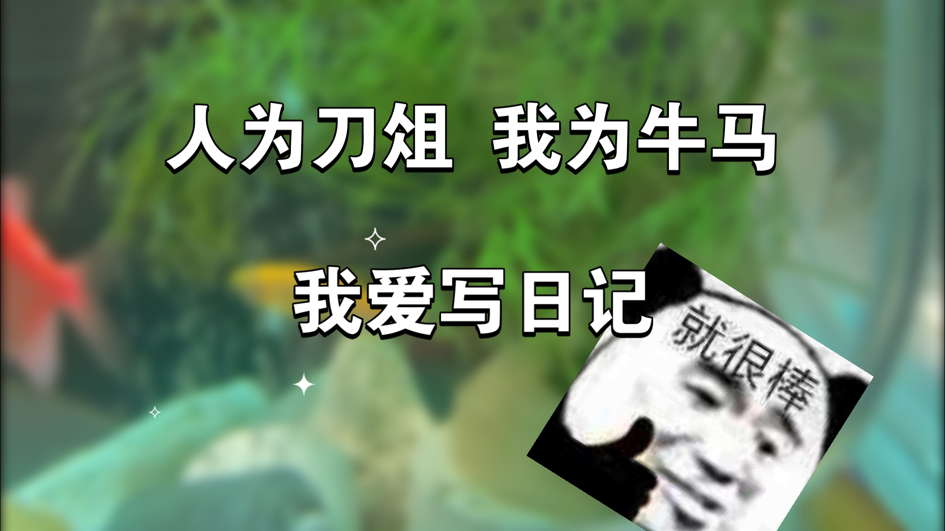 人为刀俎我为牛马,我爱写日记