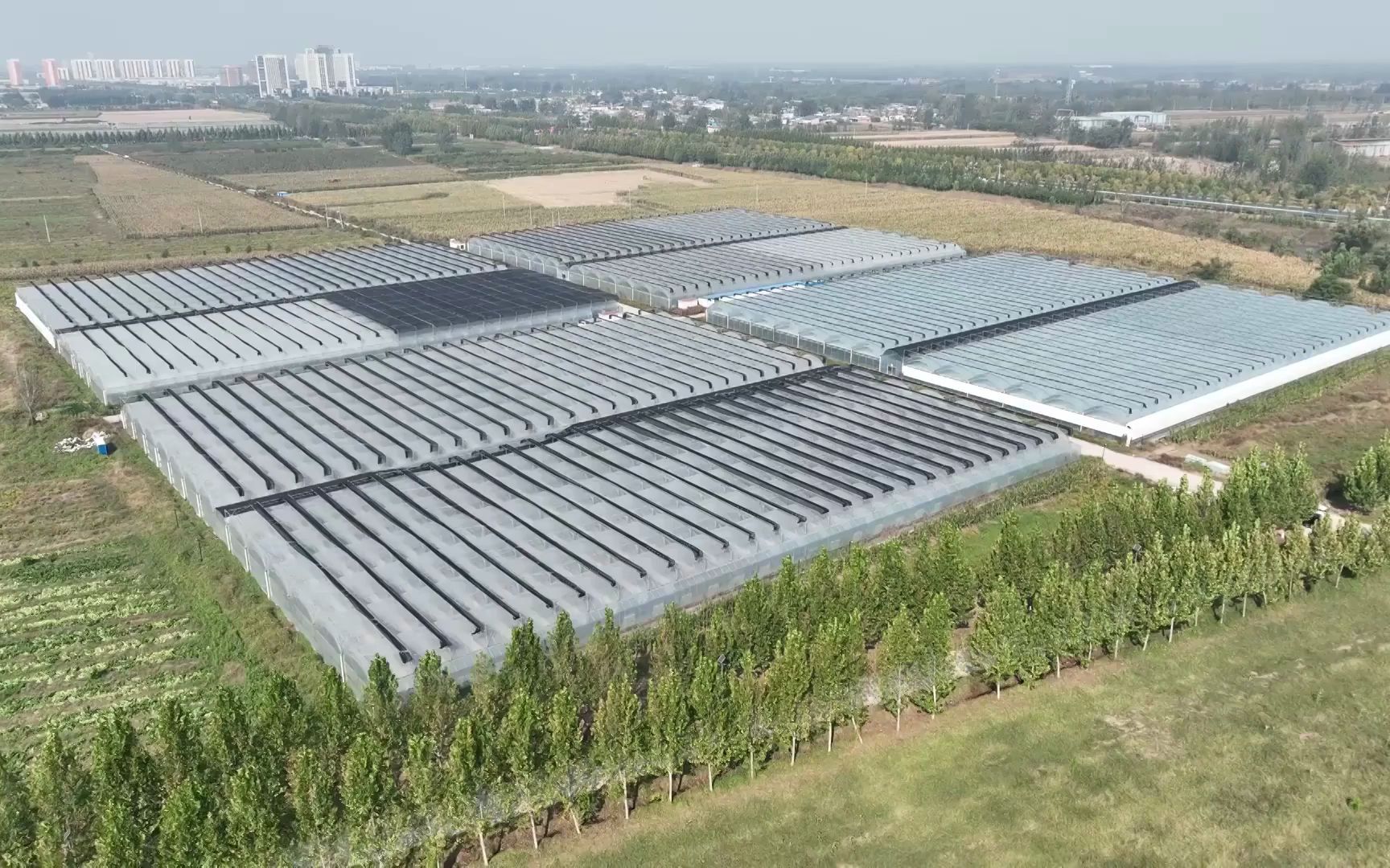 这样高标准现代化种植大棚您觉得多少钱一亩租比较合适,评论区见