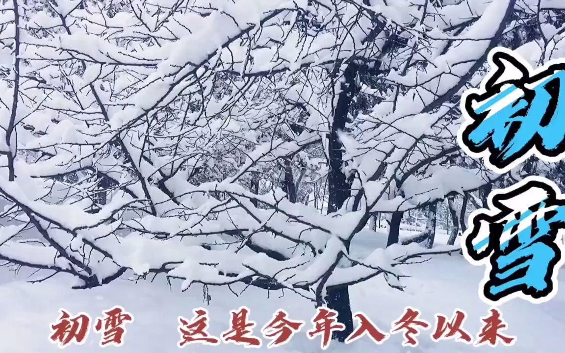 影视小剧场《初雪》有史以来最大的一场初雪,银装素裹分外妖娆,好美呀!哔哩哔哩bilibili