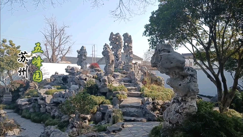 苏州五峰园,一座江南超小众的免门票园林