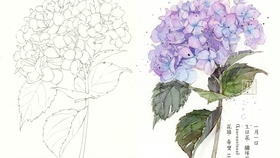 水彩 生日花12月28日春天石南 哔哩哔哩 つロ干杯 Bilibili