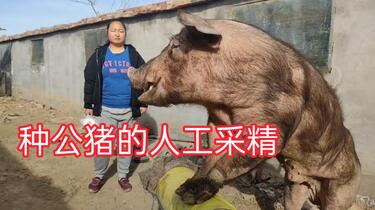 daec2bebedb364a99e2a37ad33c7fb