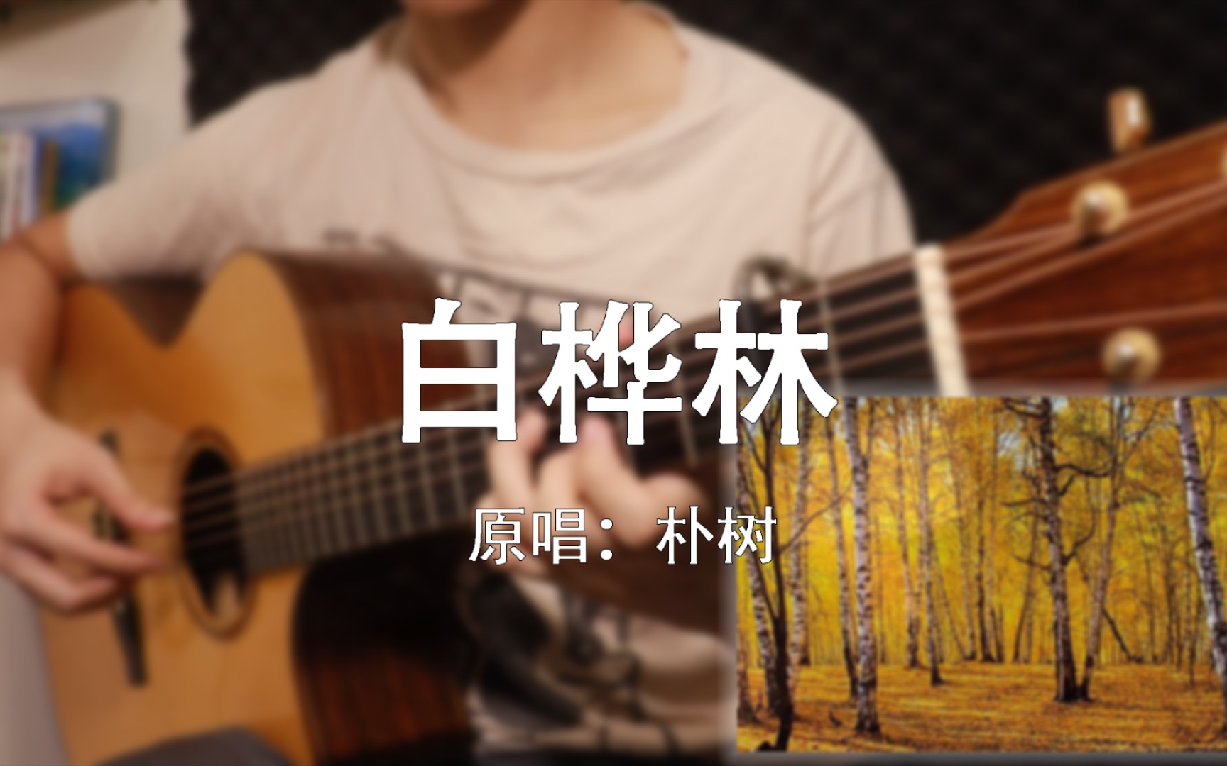 【指弹】附谱《白桦林》还原原曲意境的改编!哔哩哔哩bilibili