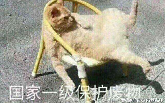 [图]《请吃红小豆吧!》之拯救直男语录