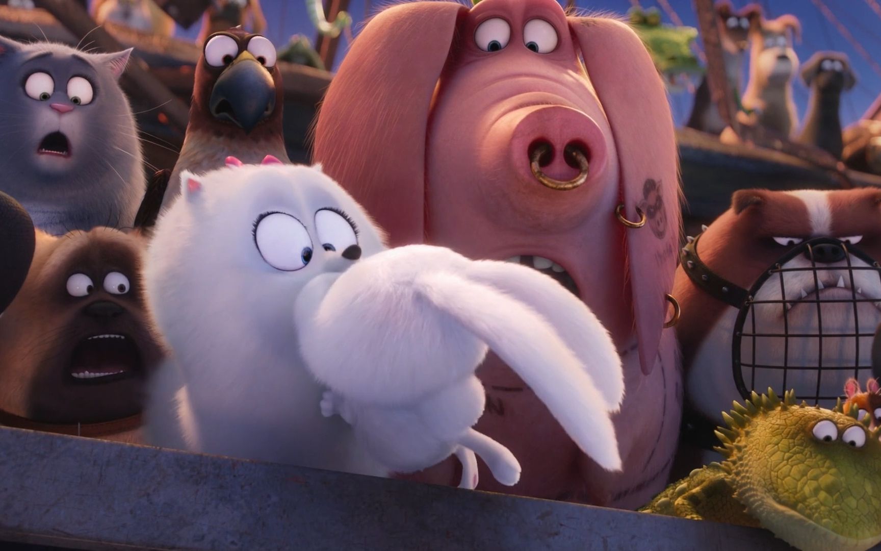 小鸟伏特加,耍酷还得它