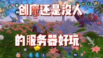 一个人的服一个人的世界