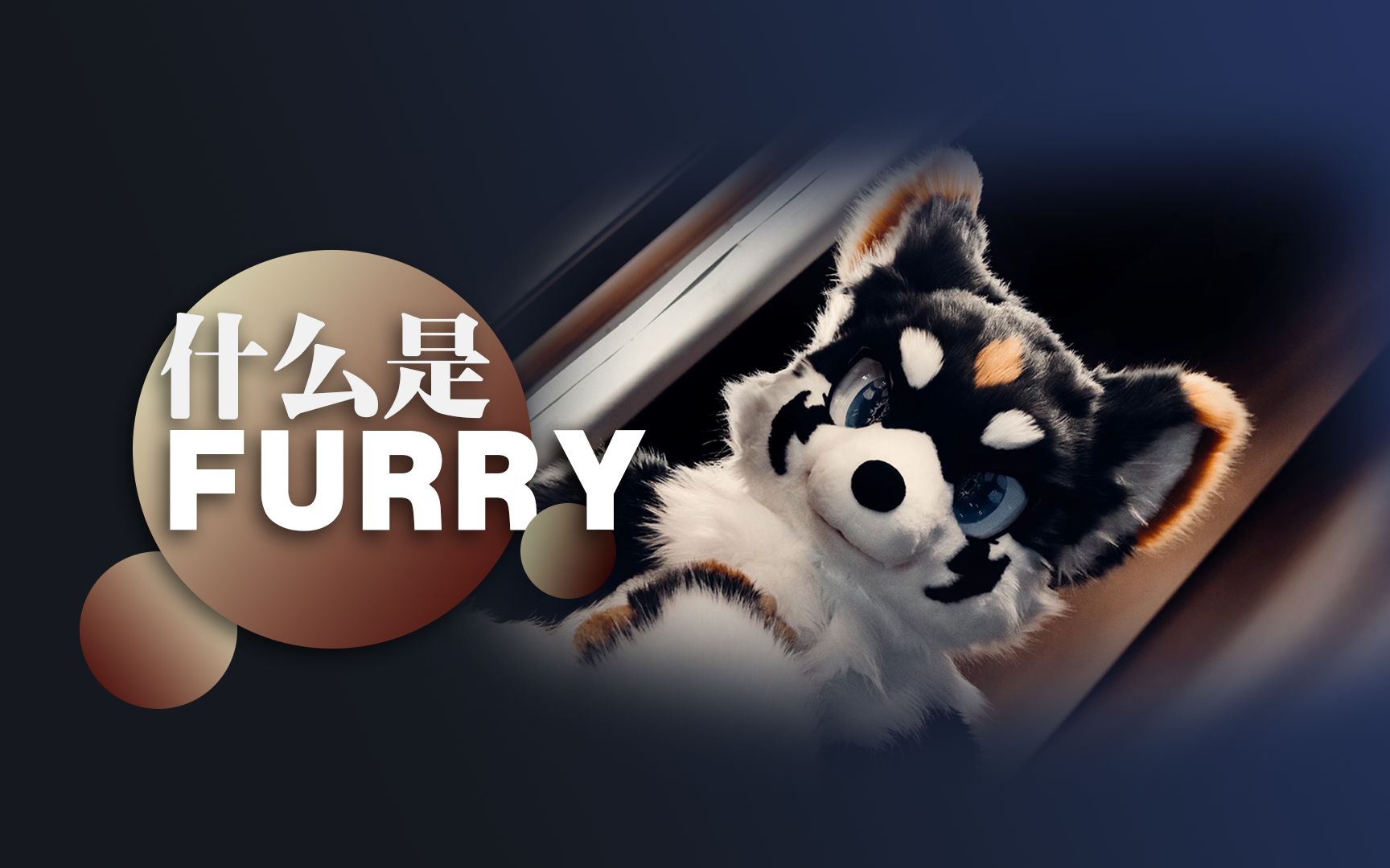 什么是 FURRY哔哩哔哩bilibili