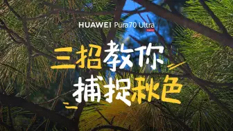 Video herunterladen: 【HUAWEI Pura 70 Ultra】三招教你捕捉秋色