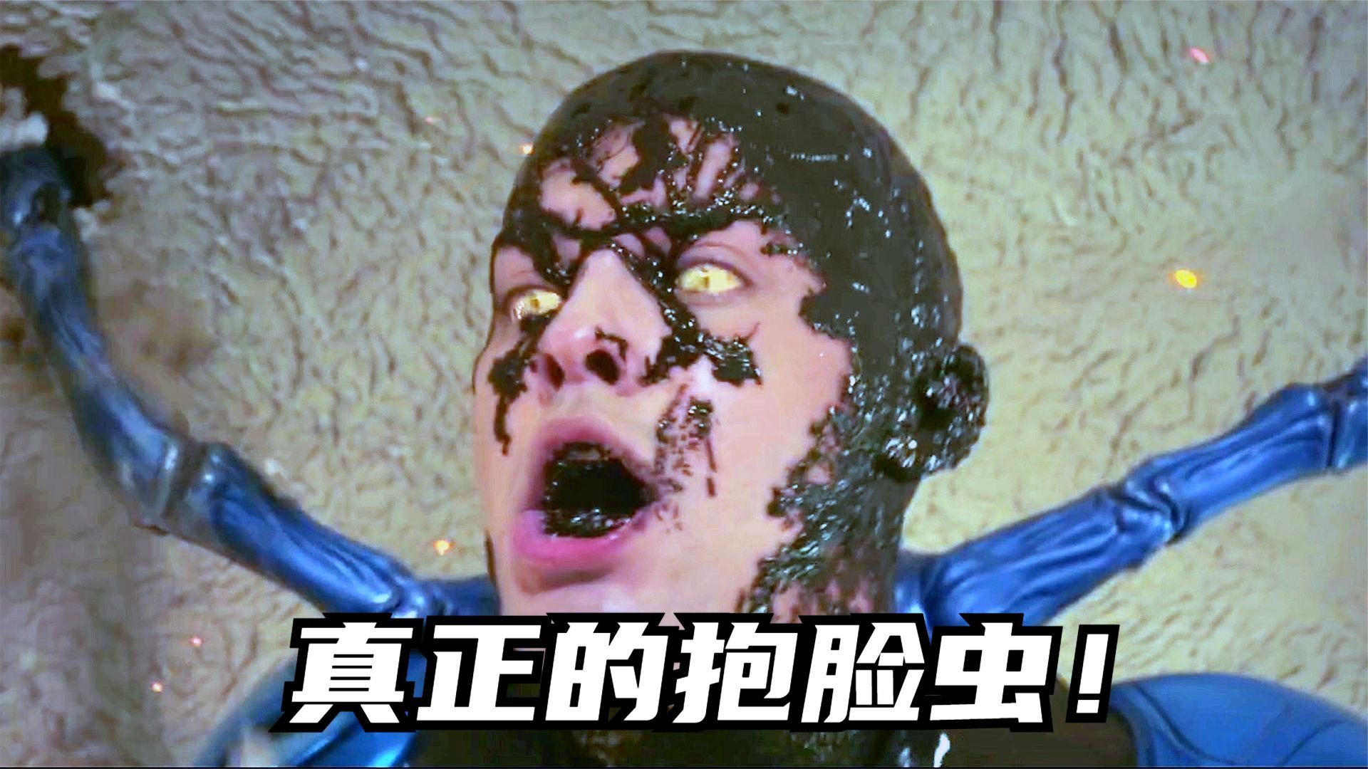 这才是真正的抱脸虫!