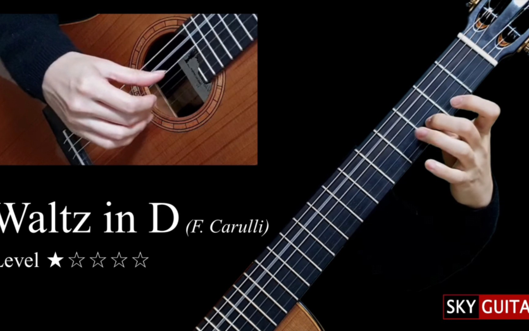 [图]Waltz in D (F. Carulli)