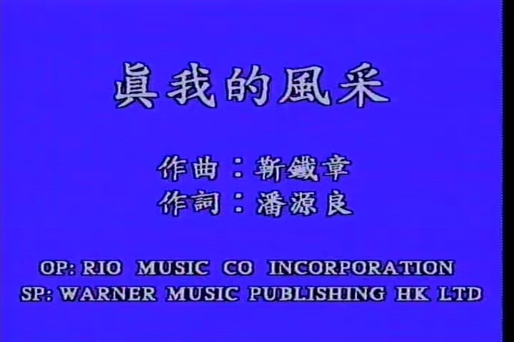 真我的风采 - 刘德华
