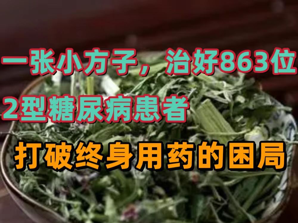 一张小方子,治好863位2型糖尿病患者,打破终身用药的困局哔哩哔哩bilibili