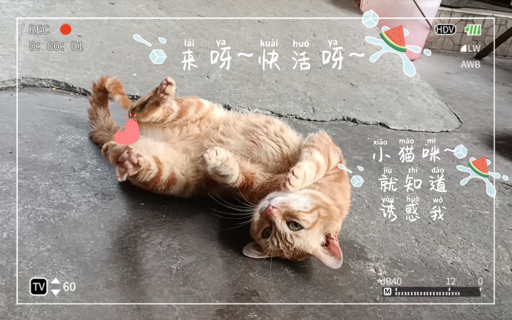 来呀~快活呀~哔哩哔哩bilibili