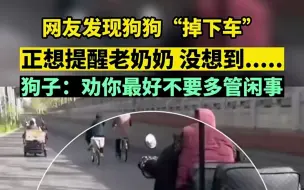 Tải video: 网友发现狗狗“掉下车”，正想提醒老奶奶，没想到.....狗子：劝你最好不要多管闲事！