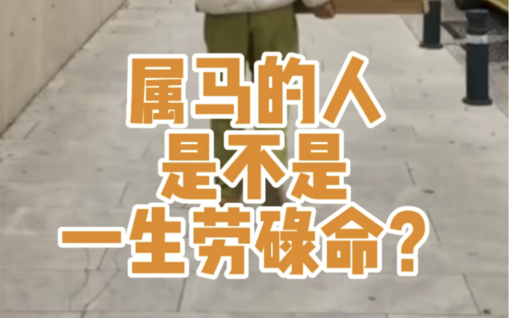 属马的人是不是一生劳碌命?