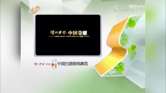 Download Video: 【放送文化】山东卫视春季新闻节目合作伙伴（2013.04.04-2013.06.20）（正常音调）（只有图片）