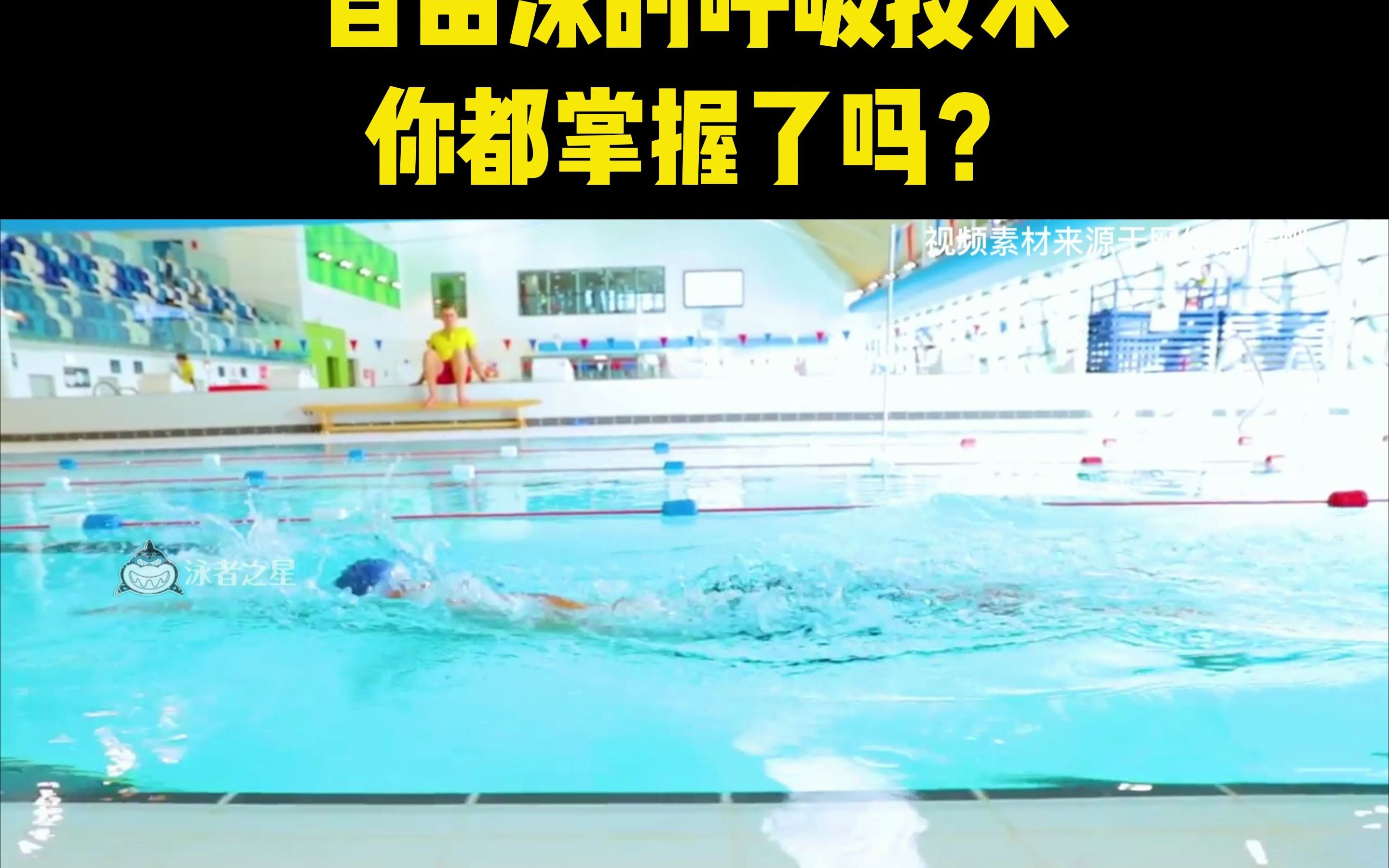 自由泳的呼吸技术,你都掌握了吗?_哔哩哔哩_bilibili