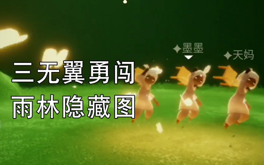 【sky光遇】三无翼勇闯雨林隐藏图