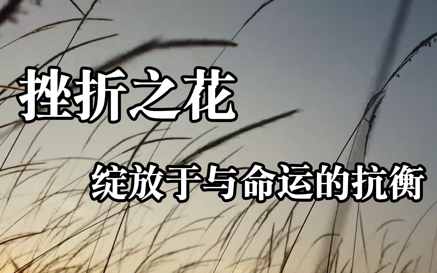 情感文案!挫折之花绽放于与命运的抗衡!哔哩哔哩bilibili