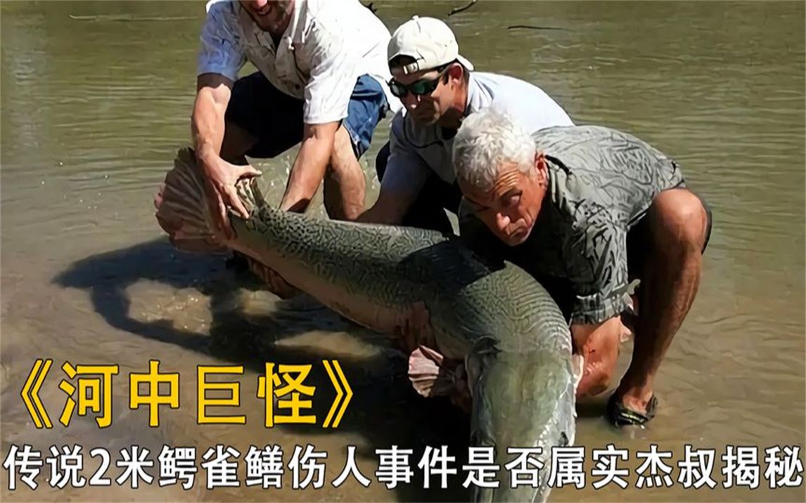 2米鳄雀鳝伤人事件频频发生,几十年的传闻居然另有隐情