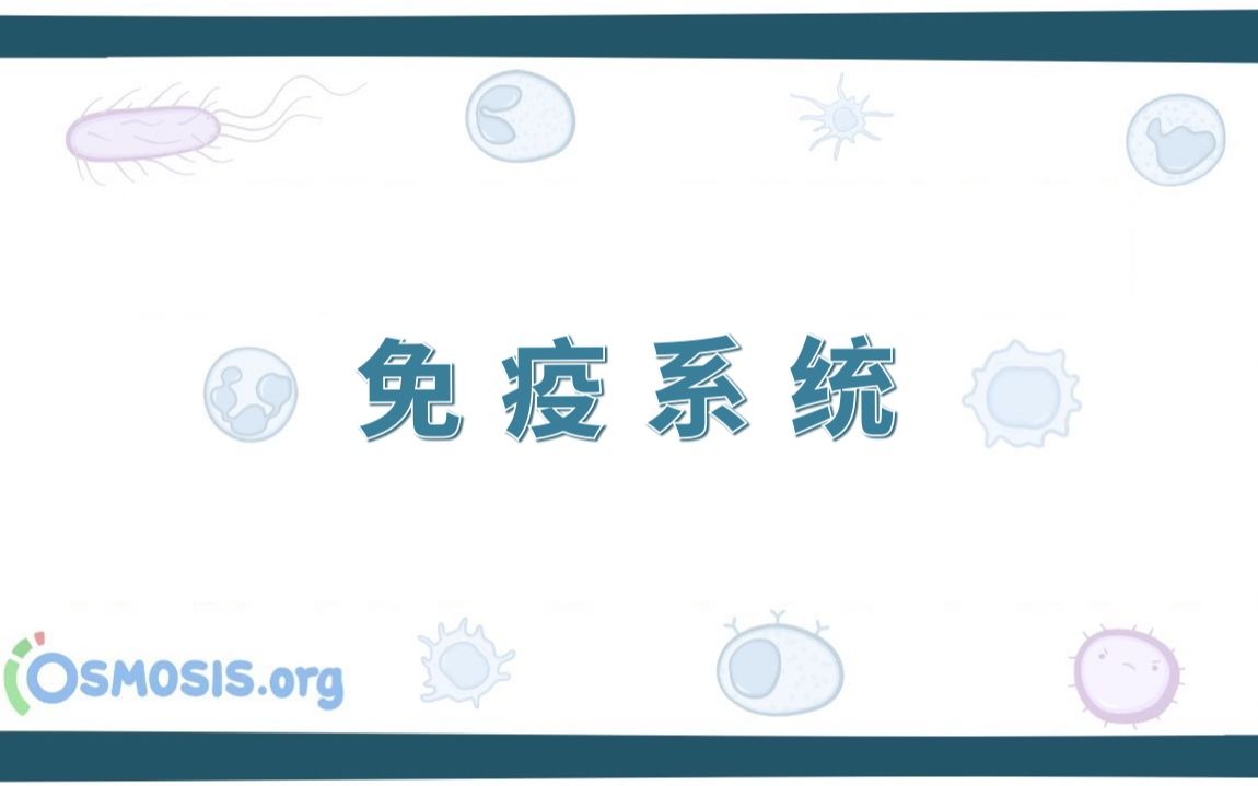 【Osmosis】免疫系统概述 Introduction to the Immune System(中英字幕)哔哩哔哩bilibili