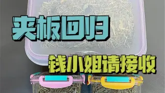 我来啦！献上超爽的：《中国女人沉浸式拍单》