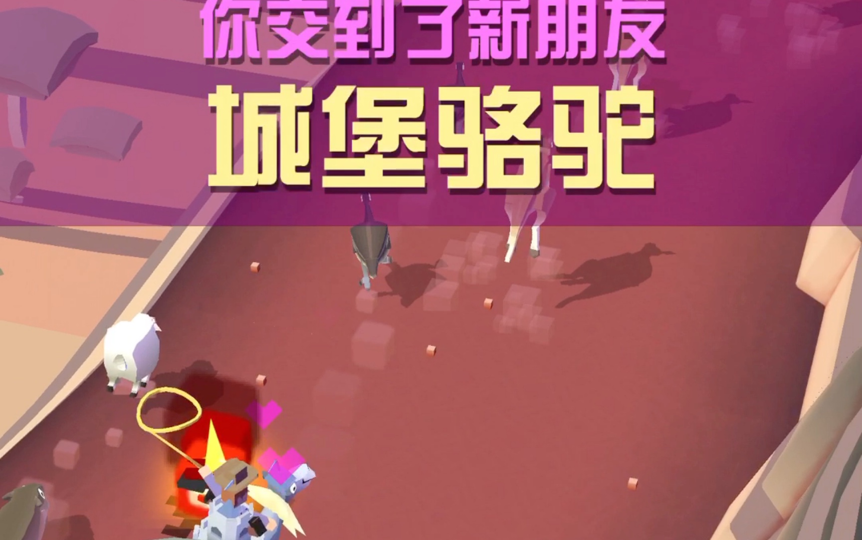 疯狂动物园:澳洲,抓住了城堡骆驼～_哔哩哔哩bilibili