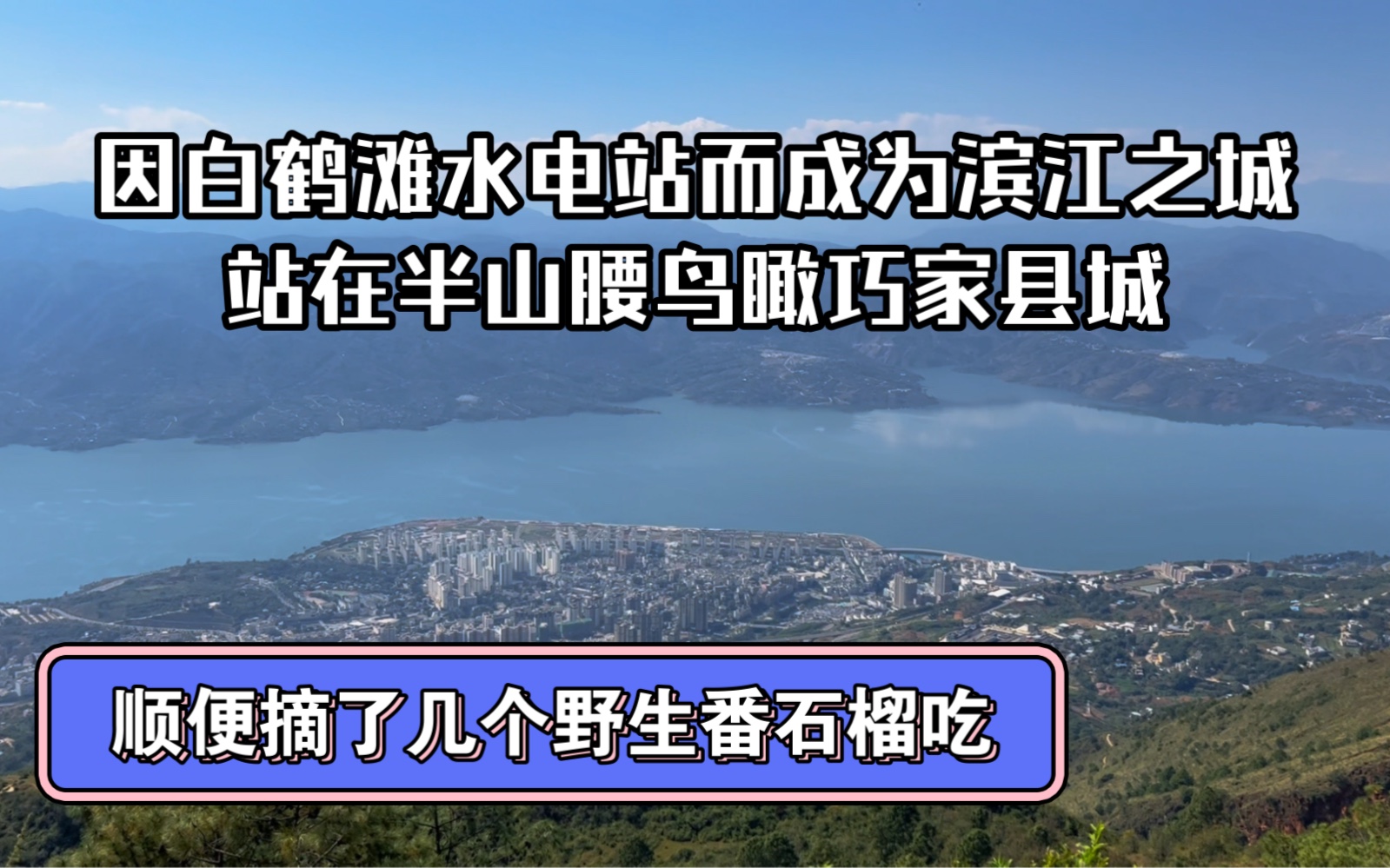 因白鹤滩水电站建设而成为滨江之城,站在半山腰鸟瞰巧家县城,玉屏山上的风景很美,摘了几个野生番石榴吃哔哩哔哩bilibili