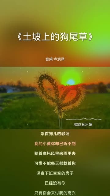 狗尾巴草歌曲(狗尾巴草歌曲藏语)