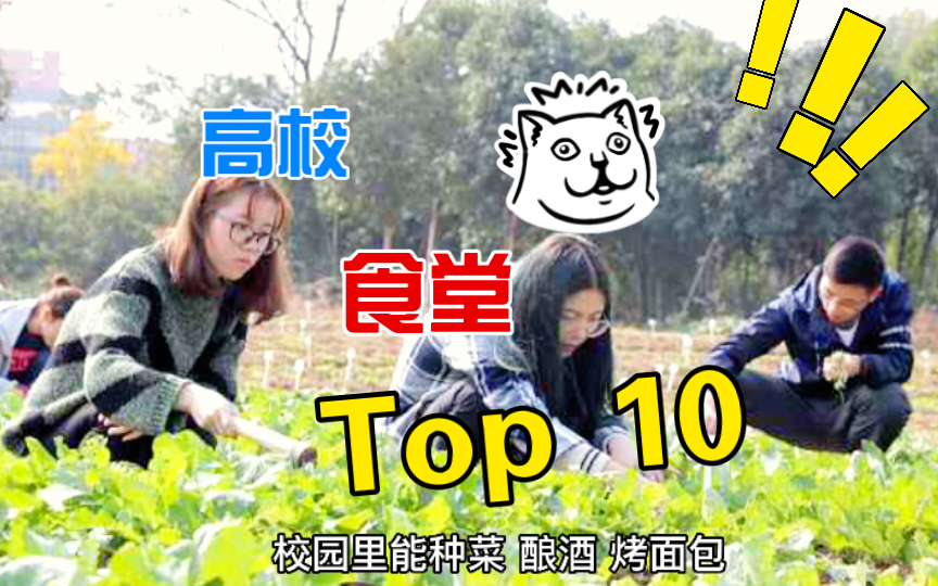 高校食堂top 10 有你的学校吗?(一)哔哩哔哩bilibili