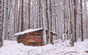 Download Video: 【野外建造】11 天独自建造丛林小屋、度过雪夜。