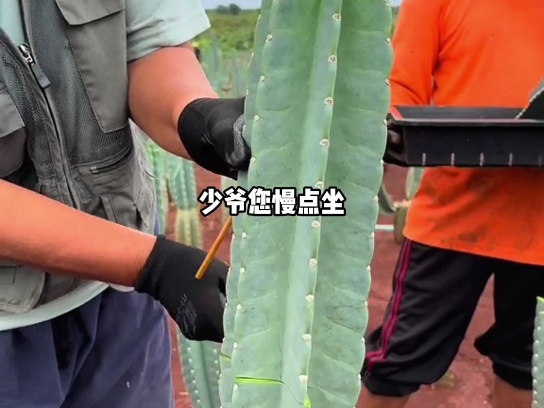 高铁上,顶流小生砸十万想跟我换座位,态度十分恶劣. 室友警告我不要见钱眼开:「总不能为了钱连尊严都不要吧?」 可后来我妈生病,我开通滴滴筹四...