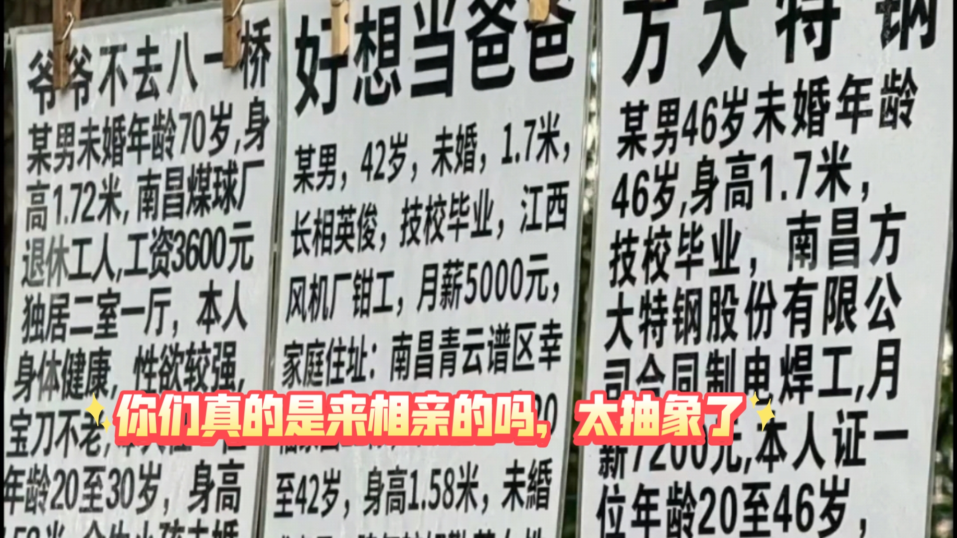 南昌八一公园相亲角,抽象相亲