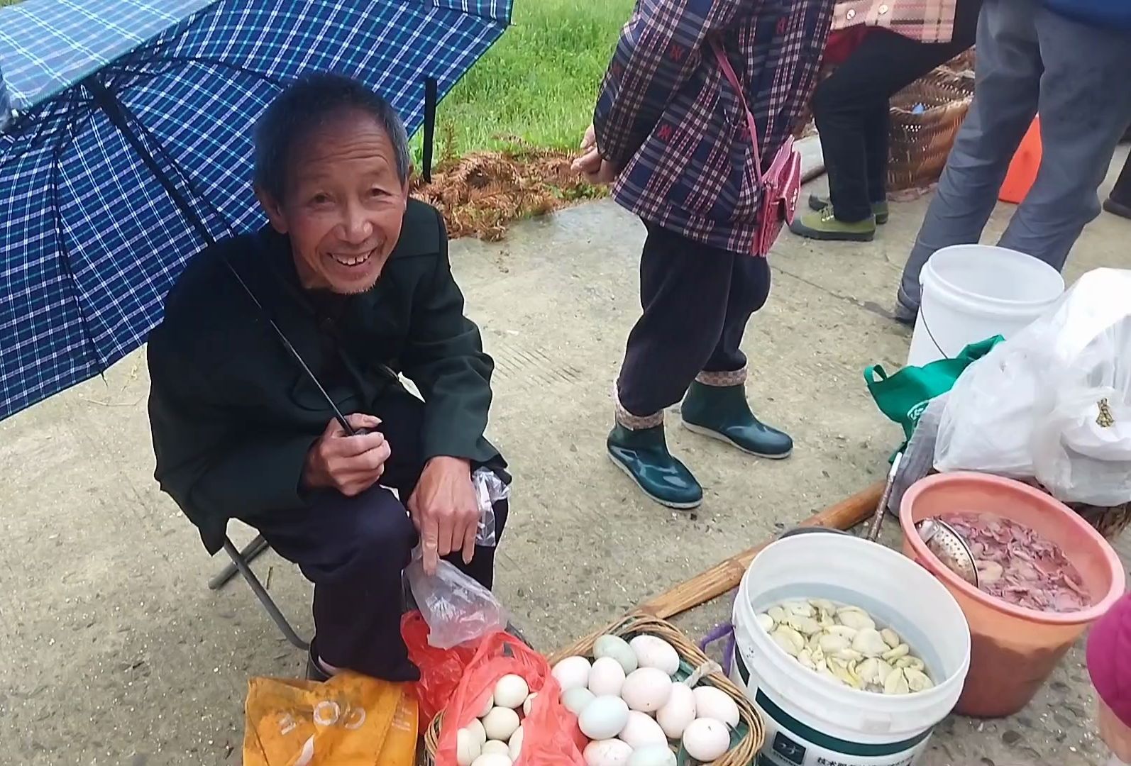 野生蘑菇烂街了几块钱一斤,满街都是,正宗緑壳土鸡蛋1.5元一个哔哩哔哩bilibili