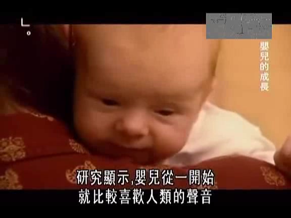 [图]发展心理学 婴幼儿成长研究