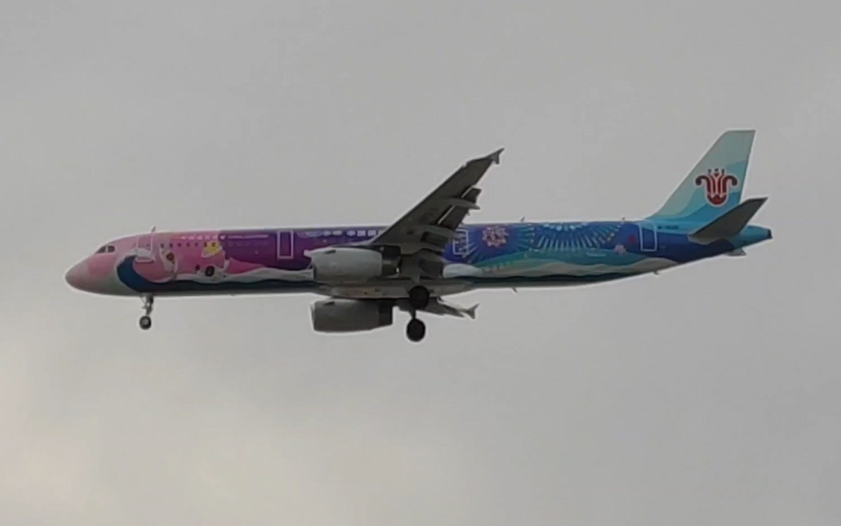 南航a321彩绘降落大兴机场19r跑道