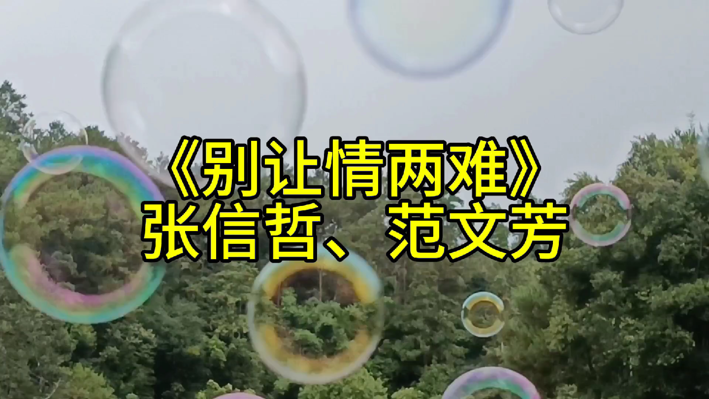 张信哲,范文芳《别让情两难》