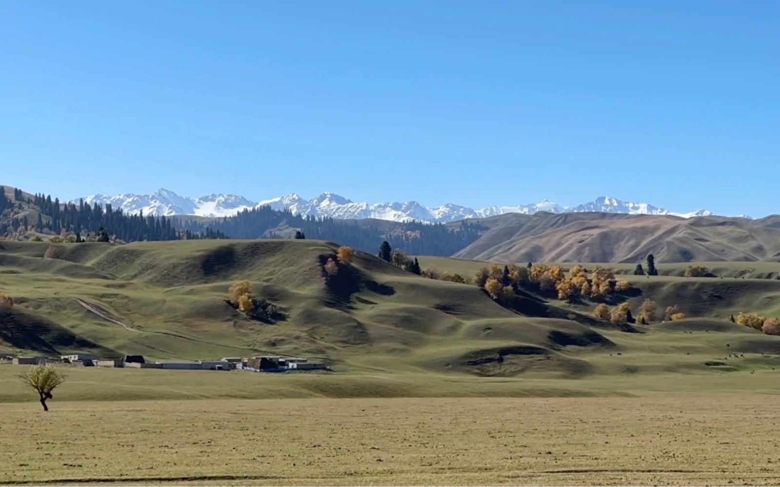 自驾一万五千公里 三十个城市和地区 记录4 布尔津-阿勒泰-乌伦古湖
