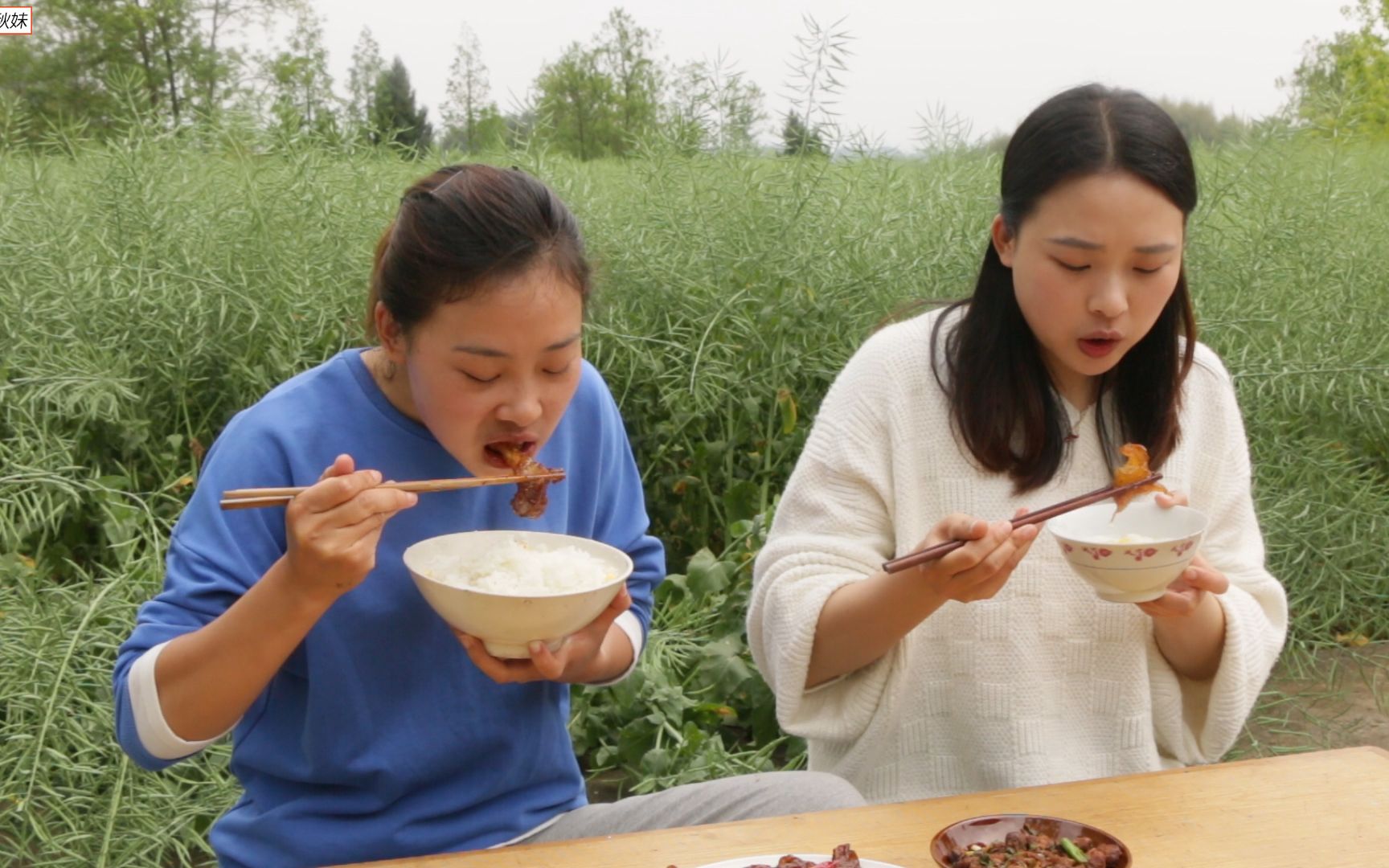 颜美食秋妹姐姐图片