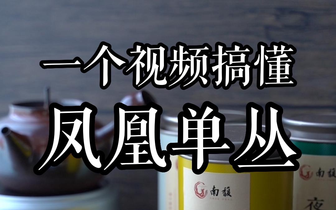 还有人不懂凤凰单丛怎么选吗?|凤凰单丛的产品详解、冲泡方法以及购买指南哔哩哔哩bilibili