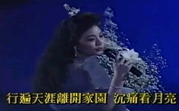 徐小凤月亮光光/1990哔哩哔哩bilibili