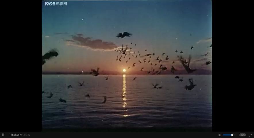 [图]怀旧电影金曲1982心泉片尾曲鸽子飞呀飞