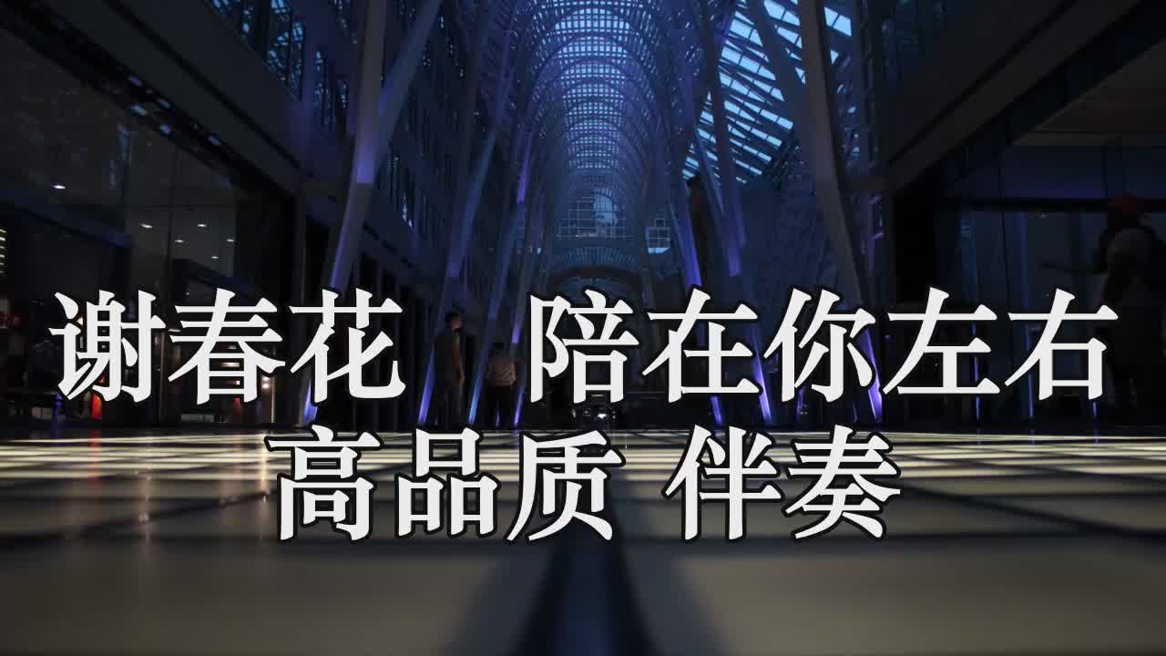 谢春花 陪在你左右 高品质 伴奏