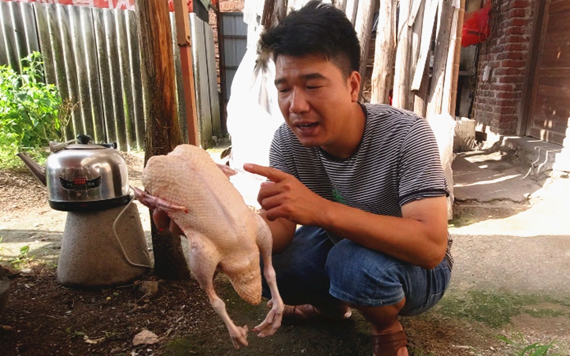 鸭贩子果然没骗人,鸭子原来可以这样拔毛,就像脱衣服一样快